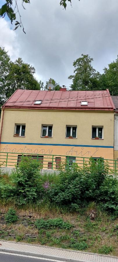 Prazdninovy Byt Arin Apartment Jachymov Exterior photo